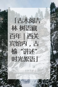 古木阅吉林 树语藏百年｜西关宾馆内，古榆“讲述”时光絮语