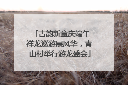 古韵新章庆端午 祥龙巡游展风华，青山村举行游龙盛会