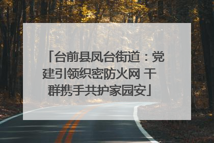 台前县凤台街道：党建引领织密防火网 干群携手共护家园安