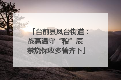 台前县凤台街道：战高温守“粮”辰 禁烧保收多管齐下