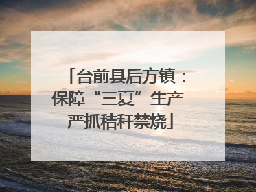 台前县后方镇：保障“三夏”生产 严抓秸秆禁烧