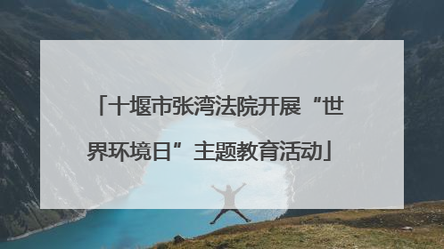 十堰市张湾法院开展“世界环境日”主题教育活动