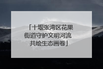 十堰张湾区花果街道守护文明河流 共绘生态画卷