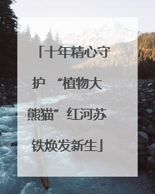 十年精心守护 “植物大熊猫”红河苏铁焕发新生