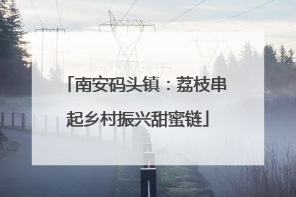 南安码头镇：荔枝串起乡村振兴甜蜜链