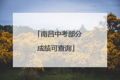 南昌中考部分成绩可查询