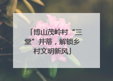 博山茂岭村“三堂”并蒂，解锁乡村文明新风