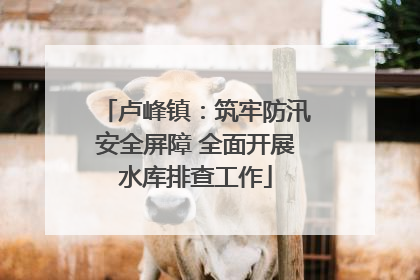 卢峰镇：筑牢防汛安全屏障 全面开展水库排查工作