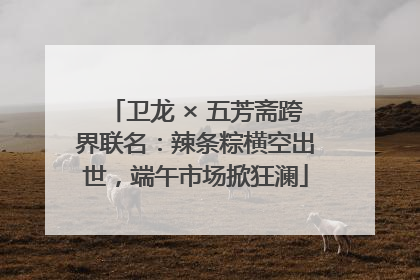 卫龙 × 五芳斋跨界联名：辣条粽横空出世，端午市场掀狂澜