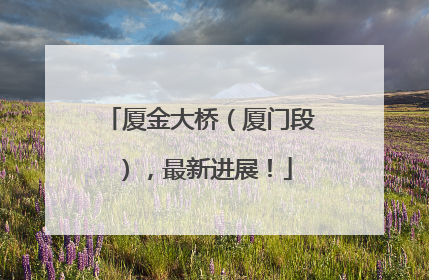 厦金大桥（厦门段），最新进展！