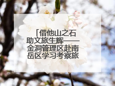 借他山之石 助文旅生辉——金洞管理区赴南岳区学习考察旅游发展工作