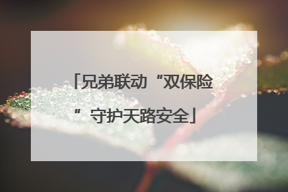 兄弟联动“双保险”守护天路安全