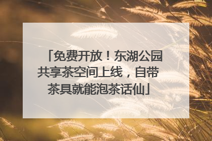 免费开放！东湖公园共享茶空间上线，自带茶具就能泡茶话仙