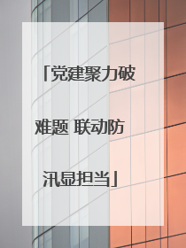 党建聚力破难题 联动防汛显担当