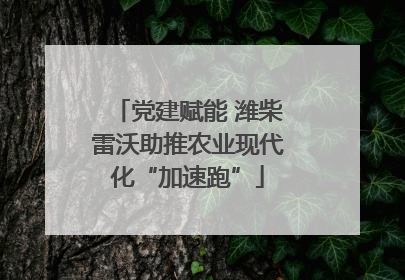 党建赋能 潍柴雷沃助推农业现代化“加速跑”