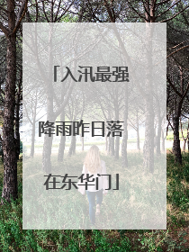 入汛最强降雨昨日落在东华门