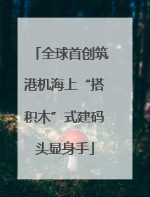 全球首创筑港机海上“搭积木”式建码头显身手