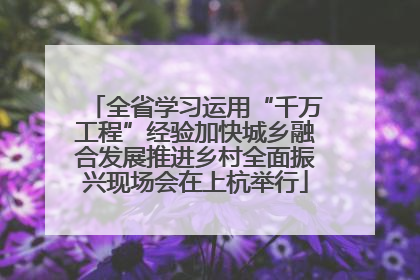全省学习运用“千万工程”经验加快城乡融合发展推进乡村全面振兴现场会在上杭举行