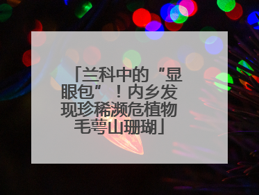 兰科中的“显眼包”！内乡发现珍稀濒危植物毛萼山珊瑚