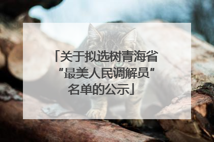 关于拟选树青海省“最美人民调解员” 名单的公示