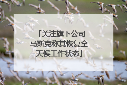 关注旗下公司 马斯克称其恢复全天候工作状态