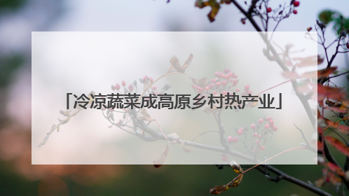 冷凉蔬菜成高原乡村热产业