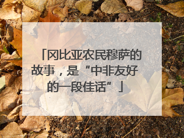 冈比亚农民穆萨的故事，是“中非友好的一段佳话”