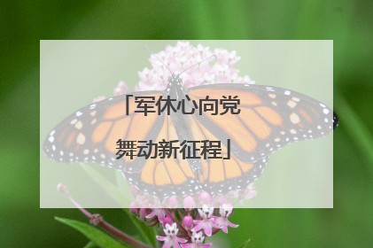 军休心向党 舞动新征程