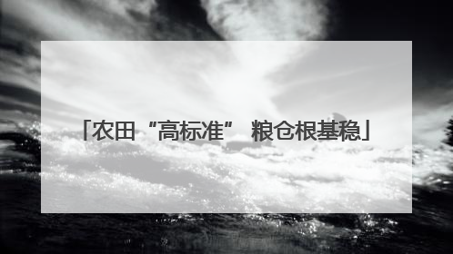 农田“高标准” 粮仓根基稳