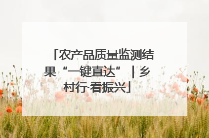 农产品质量监测结果“一键直达”｜乡村行·看振兴