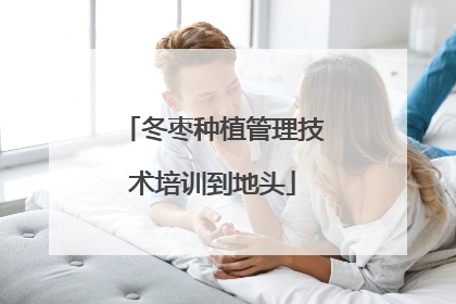 冬枣种植管理技术培训到地头