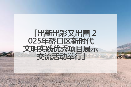 出新出彩又出圈 2025年硚口区新时代文明实践优秀项目展示交流活动举行