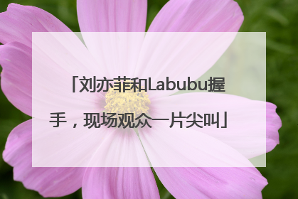 刘亦菲和Labubu握手，现场观众一片尖叫