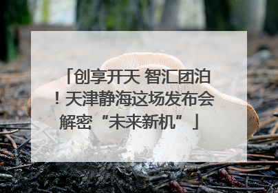创享开天 智汇团泊！天津静海这场发布会解密“未来新机”