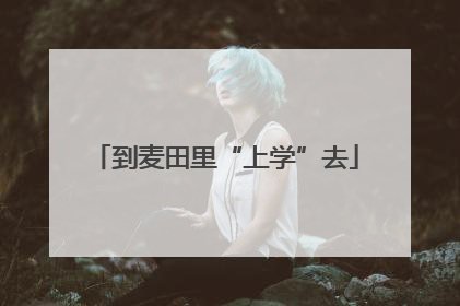 到麦田里“上学”去