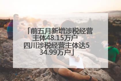 前五月新增涉税经营主体48.15万户 四川涉税经营主体达534.99万户