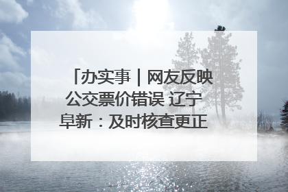 办实事｜网友反映公交票价错误 辽宁阜新：及时核查更正 加强实时巡检