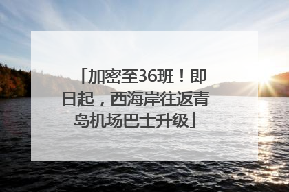 加密至36班！即日起，西海岸往返青岛机场巴士升级