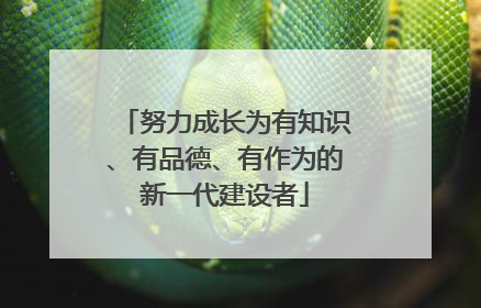 努力成长为有知识、有品德、有作为的新一代建设者