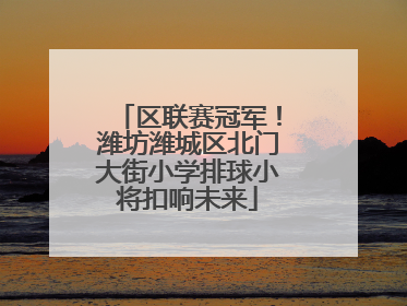 区联赛冠军！潍坊潍城区北门大街小学排球小将扣响未来
