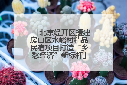 北京经开区援建房山区水峪村精品民宿项目打造“乡愁经济”新标杆