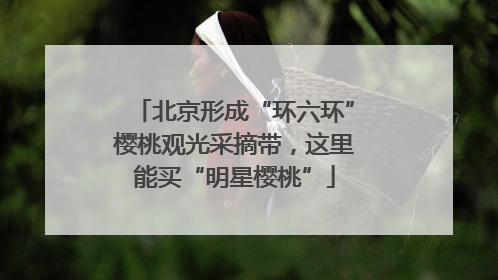 北京形成“环六环”樱桃观光采摘带，这里能买“明星樱桃”