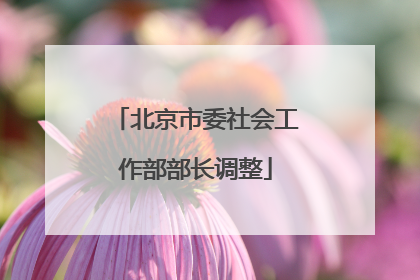 北京市委社会工作部部长调整