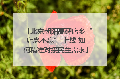北京朝阳高碑店乡“店念不忘” 上线 如何精准对接民生需求