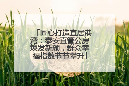 匠心打造宜居港湾：泰安直管公房焕发新颜，群众幸福指数节节攀升