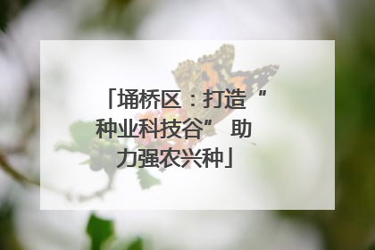 埇桥区：打造“种业科技谷” 助力强农兴种