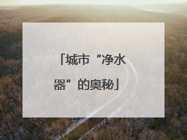 城市“净水器”的奥秘