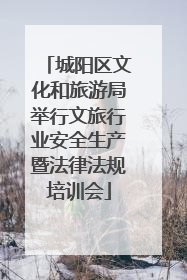 城阳区文化和旅游局举行文旅行业安全生产暨法律法规培训会