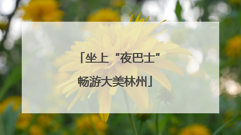 坐上“夜巴士” 畅游大美林州