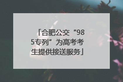 合肥公交“985专列”为高考考生提供接送服务